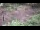 Webcam in Milford, Ohio, 38.3 mi away