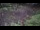 Webcam in Milford, Ohio, 63.7 km entfernt