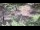Webcam in Milford, Ohio, 149.4 km entfernt