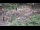 Webcam in Milford, Ohio, 70.7 mi away