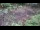 Webcam in Milford, Ohio, 8.7 mi away