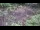 Webcam in Milford, Ohio, 22.6 km