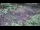 Webcam in Milford, Ohio, 22.6 km entfernt