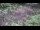Webcam in Milford, Ohio, 22.6 km