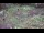 Webcam in Milford, Ohio, 109.3 km entfernt