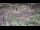 Webcam in Milford, Ohio, 41.6 mi away
