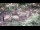 Webcam in Milford, Ohio, 22.3 km entfernt