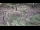 Webcam in Milford, Ohio, 139.5 km