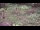 Webcam in Milford, Ohio, 99.4 km entfernt