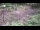Webcam in Milford, Ohio, 109.3 km entfernt