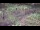 Webcam in Milford, Ohio, 211.4 km