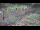 Webcam in Milford, Ohio, 127 km