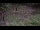 Webcam in Milford, Ohio, 155.8 km