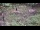 Webcam in Milford, Ohio, 102.5 km