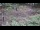 Webcam in Milford, Ohio, 8.6 mi away