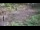Webcam in Milford, Ohio, 9.1 mi away