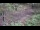 Webcam in Milford, Ohio, 107.7 km