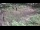 Webcam in Milford, Ohio, 61.9 km