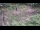Webcam in Milford, Ohio, 210.8 km