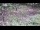 Webcam in Milford, Ohio, 181.3 km