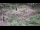 Webcam in Milford, Ohio, 128.3 km