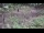 Webcam in Milford, Ohio, 33.9 km entfernt