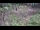 Webcam in Milford, Ohio, 120.5 km entfernt