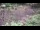 Webcam in Milford, Ohio, 70.7 mi away