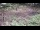 Webcam in Milford, Ohio, 125 km