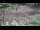 Webcam in Milford, Ohio, 139.5 km