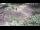 Webcam in Milford, Ohio, 155.8 km