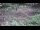 Webcam in Milford, Ohio, 95.5 km