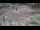 Webcam in Milford, Ohio, 54 mi away