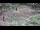 Webcam in Milford, Ohio, 9.1 mi away
