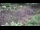 Webcam in Milford, Ohio, 107.7 km entfernt