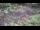Webcam in Milford, Ohio, 23.3 km entfernt