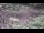 Webcam in Milford, Ohio, 13.9 km