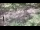 Webcam in Milford, Ohio, 99.4 km