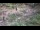 Webcam in Milford, Ohio, 54.6 mi away
