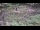 Webcam in Milford, Ohio, 155.8 km