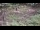 Webcam in Milford, Ohio, 155.8 km