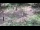 Webcam in Milford, Ohio, 190.9 km