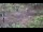 Webcam in Milford, Ohio, 41.6 mi away