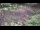 Webcam in Milford, Ohio, 172.5 km
