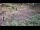 Webcam in Milford, Ohio, 52.4 mi away