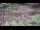 Webcam in Milford, Ohio, 24.6 mi away