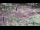 Webcam in Milford, Ohio, 24.6 mi away