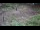 Webcam in Milford, Ohio, 155.8 km
