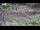 Webcam in Milford, Ohio, 70.7 mi away