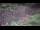 Webcam in Milford, Ohio, 102.5 km entfernt